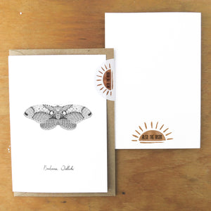 Archaeolepis Owl Moth Greetings Card