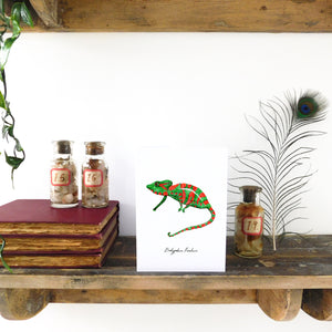 Camouflage Cape Dwarf Chameleon Greetings Card