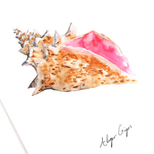 Load image into Gallery viewer, Conchae Conch Shell Greetings Card