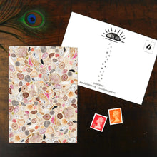 Load image into Gallery viewer, Conchae Sea Shell Print Postcard