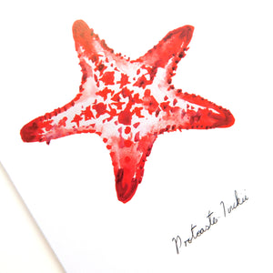 Asterozoa Crown of Thorns Starfish Greetings Card
