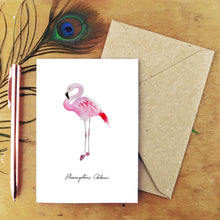 Load image into Gallery viewer, Flamboyance Chilean Flamingo Greetings Card