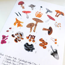 Load image into Gallery viewer, Fungi Art Print