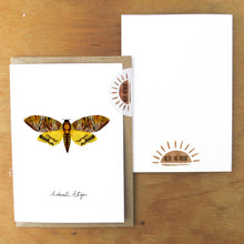 Load image into Gallery viewer, Lepidoptera Death&#39;s Head Hawkmoth Moth Greetings Card