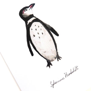 Waddle Humboldt Penguin Greetings Card