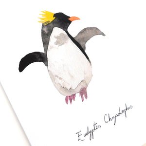Waddle Macaroni Penguin Greetings Card