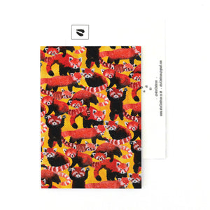 Pack of Red Pandas Print Postcard