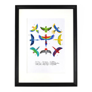 Psittacidae Parrot Art Print