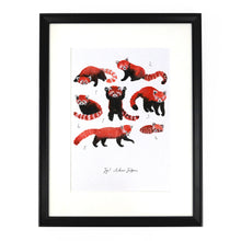 Load image into Gallery viewer, Pack of Red Pandas Art Print