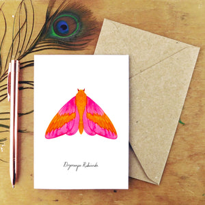 Lepidoptera Rosy Maple Moth Greetings Card