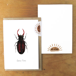 Coleoptera Stag Beetle Greetings Card