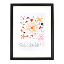 Load image into Gallery viewer, Asterozoa Starfish Art Print