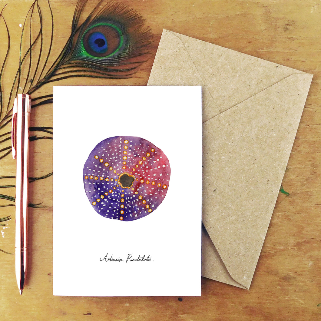 Echinozoa Purple Sea Urchin Greetings Card